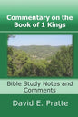Commentary on the Book of 1 Kings: Bible Study Notes and Comments - Paperback
