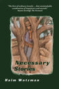 Necessary Stories - Paperback