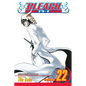 Bleach, Vol. 22 - Paperback