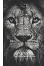 El León Del Rey - Paperback