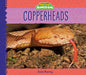 Copperheads - Library Binding