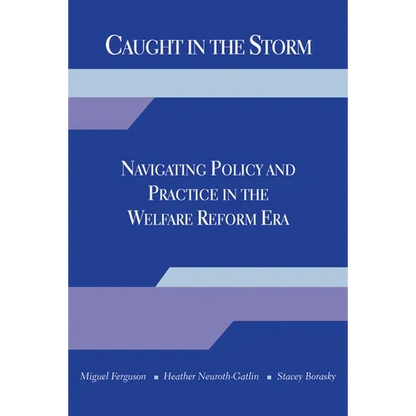 Caught in the Storm: Navigating Policy and Practice in the Welfare Reform Era - Paperback