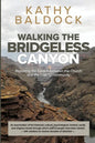 Walking the Bridgeless Canyon: Repairing the Breach between the Church and the LGBTQ Community - Paperback