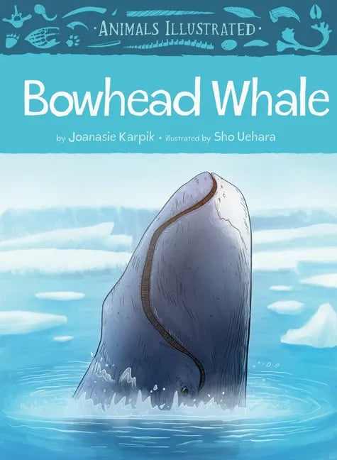 Animals Illustrated: Bowhead Whale - Hardcover