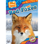 Red Foxes - Library Binding