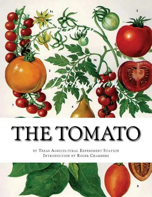 The Tomato - Paperback