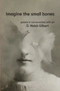 imagine the small bones - Paperback