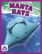Manta Rays - Paperback