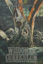 Wisdom and Curriculum: Christian Schooling After Postmodernity - Paperback