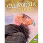 California Condor - Library Binding