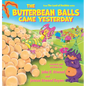 The Butterbean Balls Came Yesterday - Hardcover