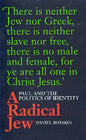 A Radical Jew: Paul and the Politics of Identity Volume 1 - Paperback