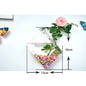 Creative Hydroponic Hanging Transparent Glass Vase