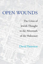 Open Wounds: The Crisis of Jewish Thought in the Aftermath of the Holocaust - Hardcover