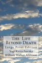 The Life Beyond Death: Large Print Edition - Paperback