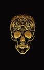 Glowing Golden Sugar Skeleton Skull Diary, Journal, and/or Notebook: Perfect for Fans of Astrology, Dark Magic, Fantasy, Halloween, Occult, Wicca, and - Hardcover