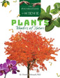 Plants: Wonders of Nature - Paperback