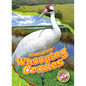 Whooping Cranes - Library Binding