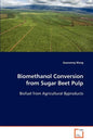 Biomethanol Conversion from Sugar Beet Pulp - Paperback