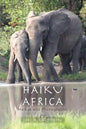 Haiku Africa: Haikus and Photographs - Paperback