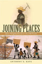 Joining Places: Slave Neighborhoods in the Old South - Paperback