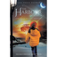 The Harbour Explosion: The Nova Scotia Episode - Paperback