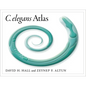 C. Elegans Atlas - Spiral