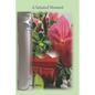 A Satiated Moment: The Journey Emerald's Travels - Paperback