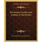 The Western Cowboy And Arabians In The Rockies - Paperback