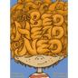 The Bed Head of Ned - Hardcover