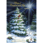 Tidings of Comfort and Joy: A Collection of Holiday and Heart Reflections to Last Throughout the Year - Hardcover