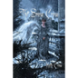 The Snow Crow - Paperback