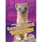 Long-Tailed Weasels - Library Binding