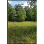 Off The Beaten Path: 4 year Blood Glucose Tracker - Paperback