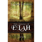 The House of Elah - Paperback