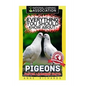 Everything You Should Know About: PIGEONS Faster Learning Facts - Paperback