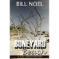 Boneyard Beach: A Folly Beach Mystery - Paperback