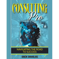 Consulting Pro: Navigating The Road To Success - Paperback