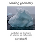 Sensing Geometry: Symbolism and Structure in Art, Science, and Mathematics - Paperback