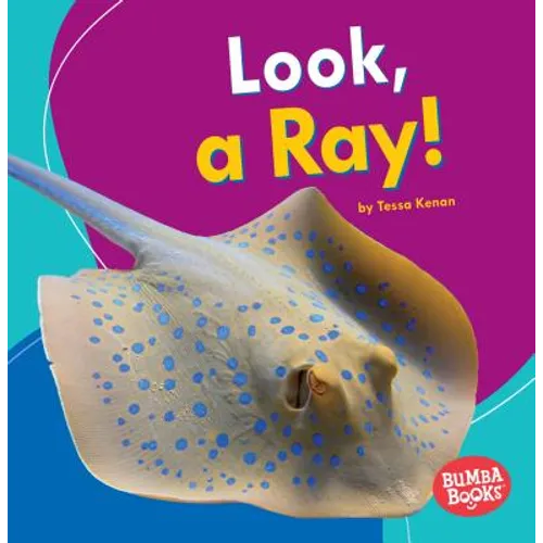 Look, a Ray! - Paperback