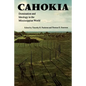 Cahokia: Domination and Ideology in the Mississippian World - Paperback