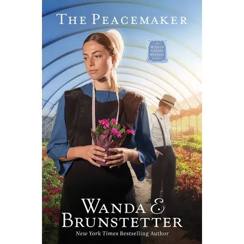The Peacemaker: Volume 2 - Paperback