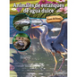 Animales de Estanques de Agua Dulce: Freshwater Pond Animals - Paperback
