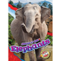 Elephants - Library Binding