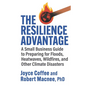 The Resilience Advantage: A Small Business Guide to Preparing for Floods, Heatwaves, Wildfires, and Other Climate Disasters - Paperback
