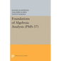 Foundations of Algebraic Analysis - Paperback
