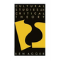 Cultural Studies as Critical Theory - Paperback