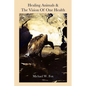 Healing Animals & The Vision of One Health: Earth Care & Human Care - Paperback