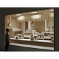 Roxy Paine: The Dioramas - Hardcover