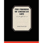 The Promise Of American Life - Paperback